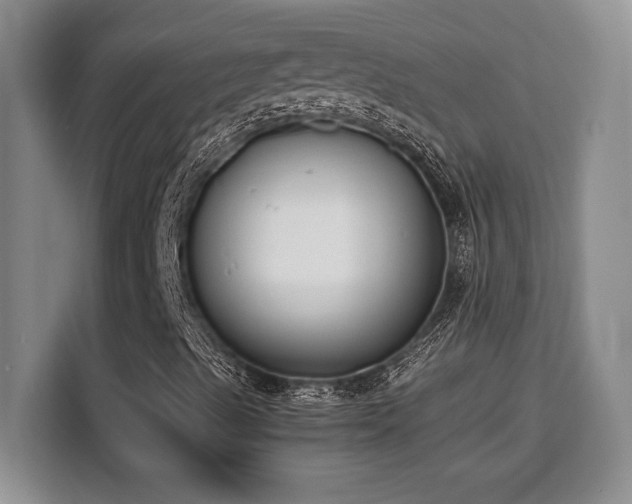 X0000110321489200905211515