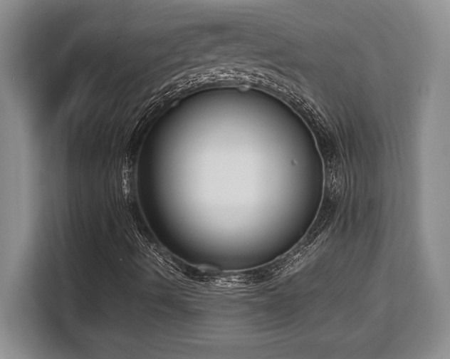 X0000110321490200905211515