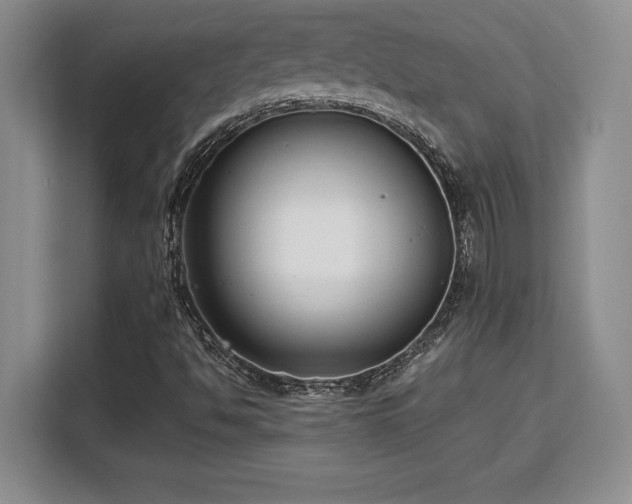 X0000110321494200905211515