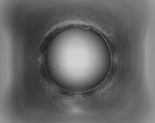 X0000110321495200905211515