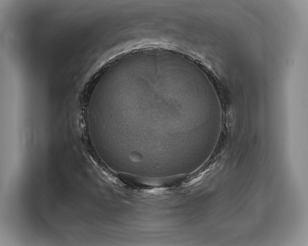 X0000110321496200905211515