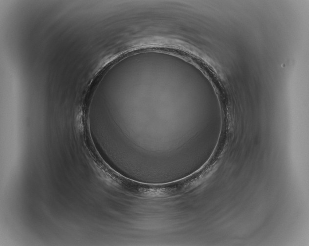 X0000110321497200905211515