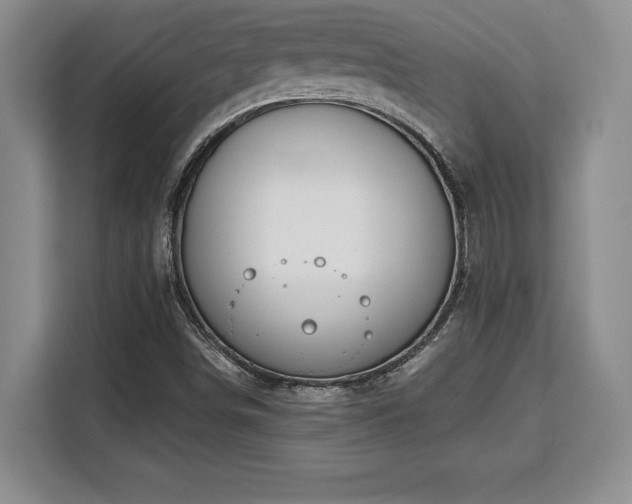 X0000110321498200905211515