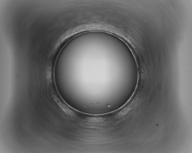 X0000110321499200905211515