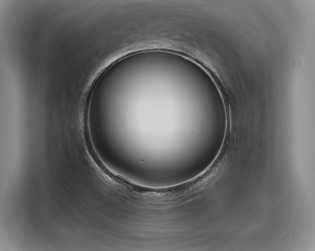 X0000110321500200905211515