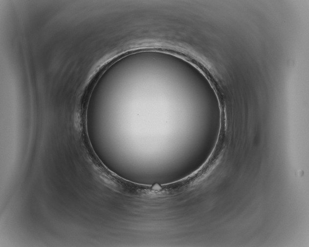 X0000110321501200905211515