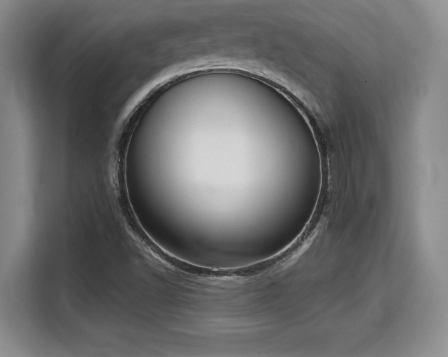 X0000110321502200905211515