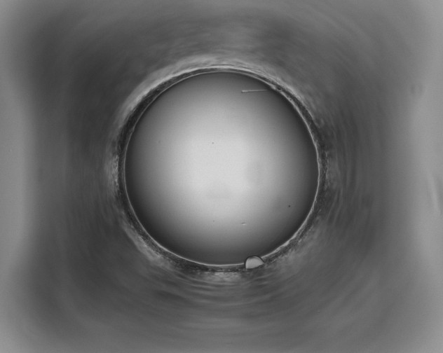 X0000110321503200905211516