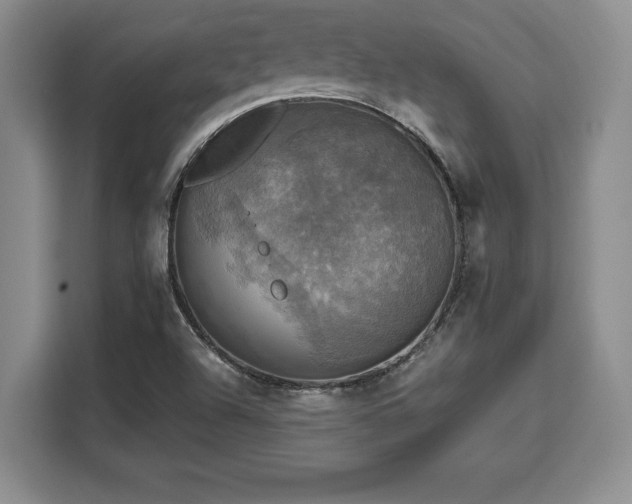 X0000110321504200905211516