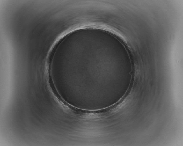 X0000110321506200905211516