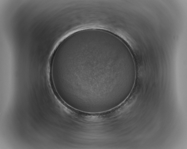 X0000110321508200905211516