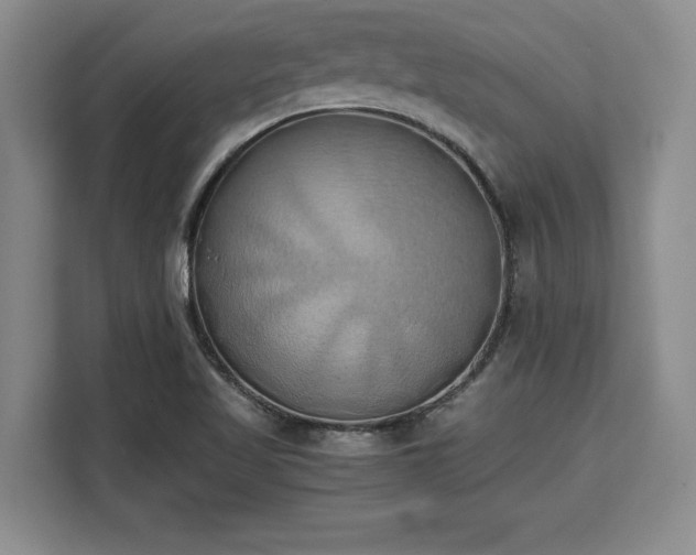 X0000110321509200905211516