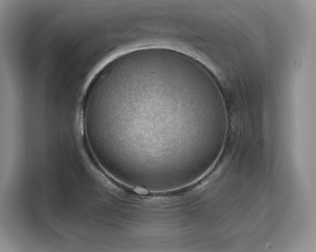 X0000110321510200905211516