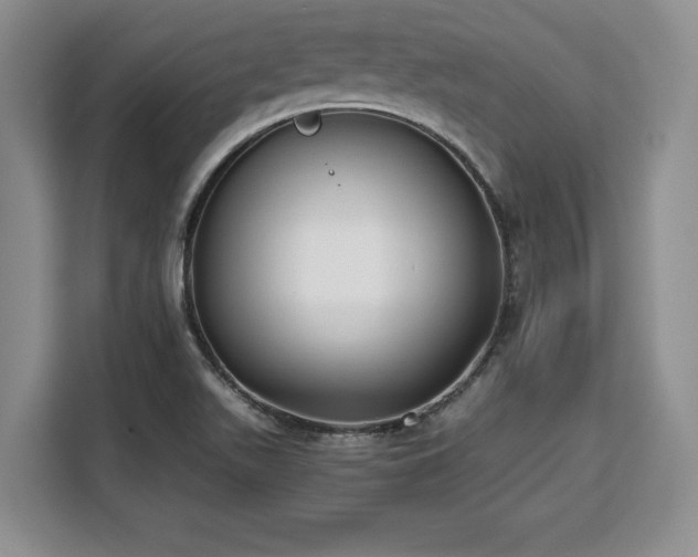 X0000110321511200905211516