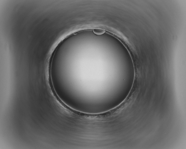 X0000110321512200905211516