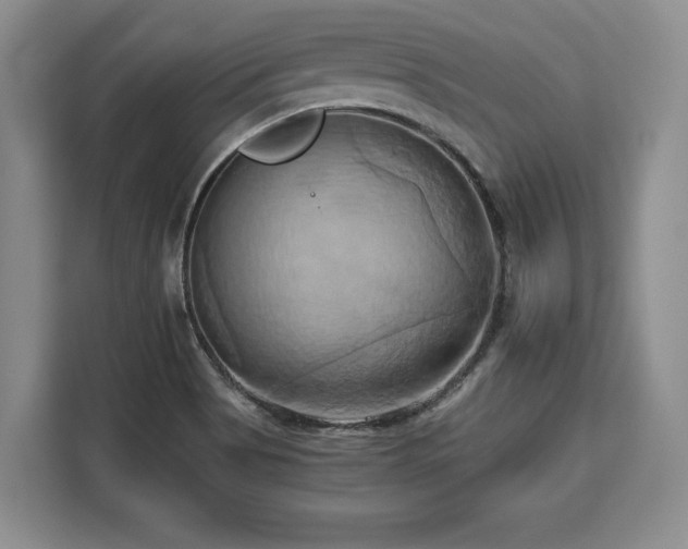 X0000110321513200905211516