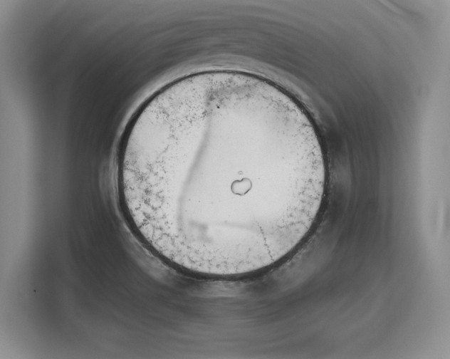 X0000110321514200905211516