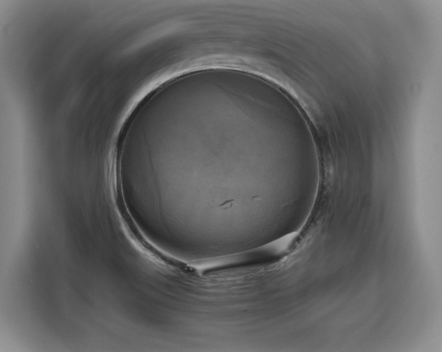 X0000110321515200905211516