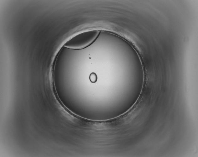 X0000110321516200905211516