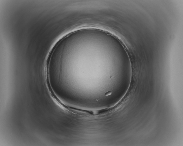X0000110321519200905211516