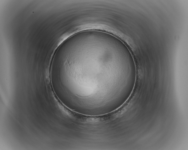 X0000110321521200905211516