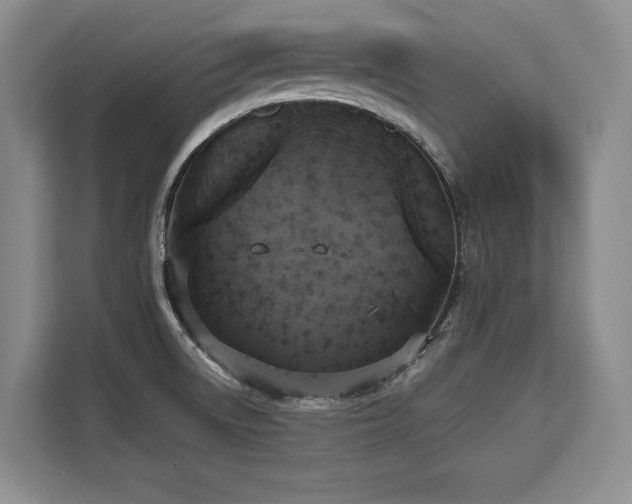 X0000110321522200905211516