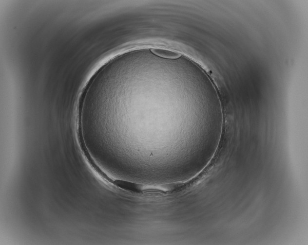 X0000110321523200905211516