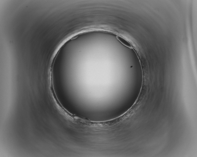 X0000110321524200905211516