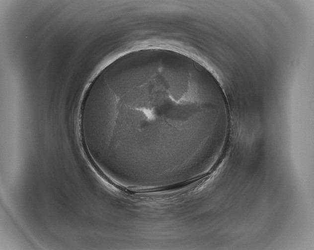 X0000110321525200905211516