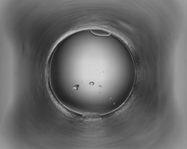 X0000110321526200905211516