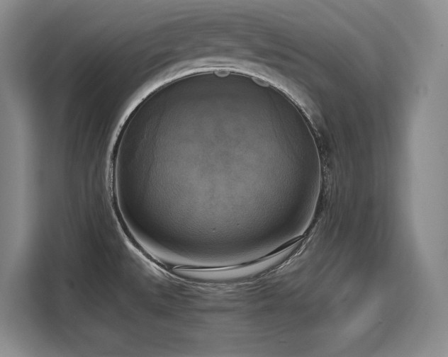X0000110321527200905211516