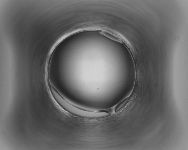 X0000110321528200905211516