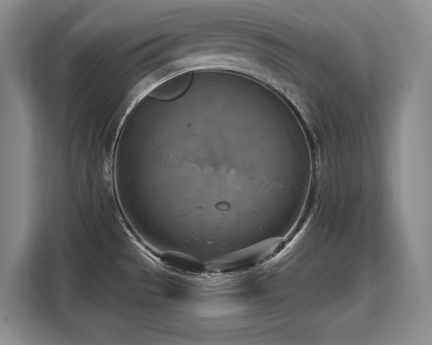 X0000110321529200905211516