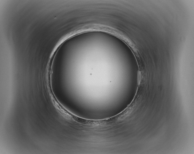 X0000110321530200905211516