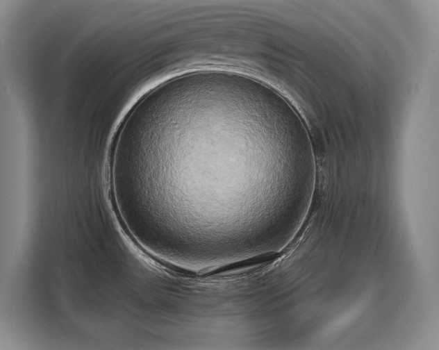 X0000110321531200905211516