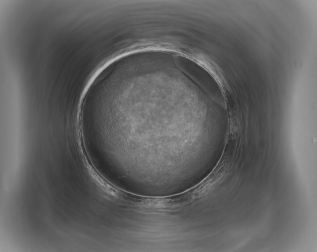 X0000110321532200905211516