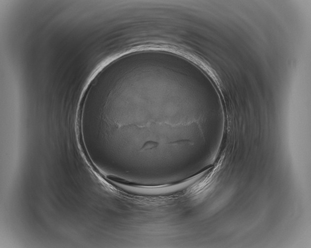 X0000110321533200905211516