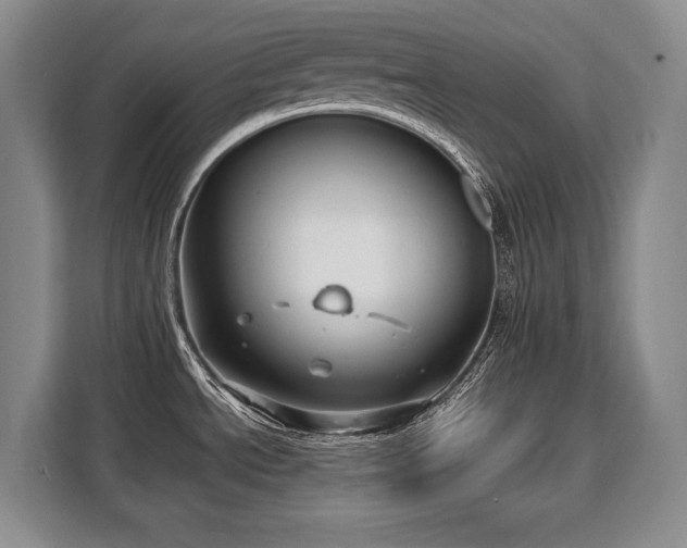 X0000110321534200905211516