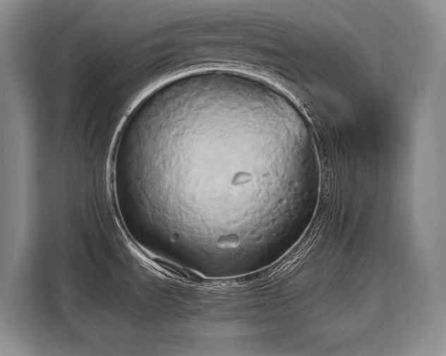 X0000110321535200905211516