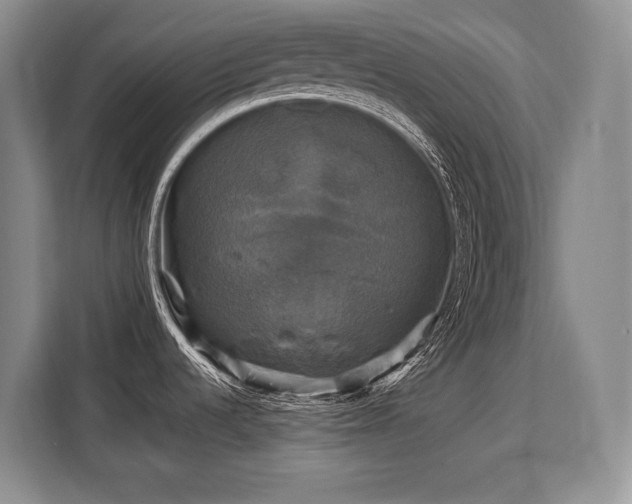 X0000110321536200905211516