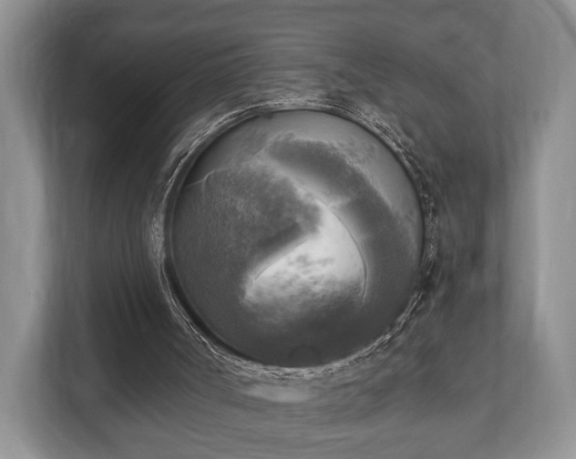 X0000110320002200905281642