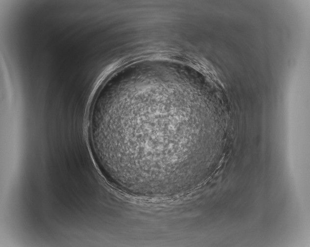 X0000110320003200905281642
