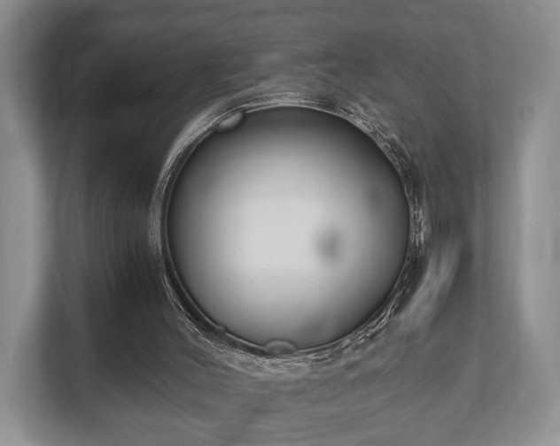 X0000110320004200905281642