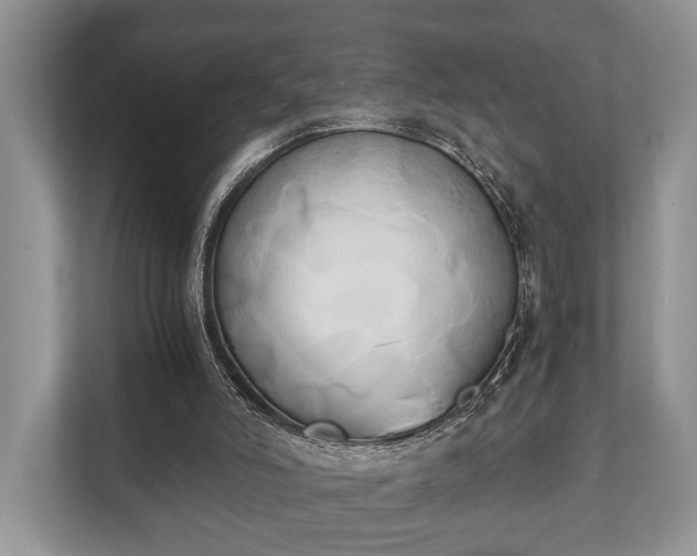 X0000110320006200905281642