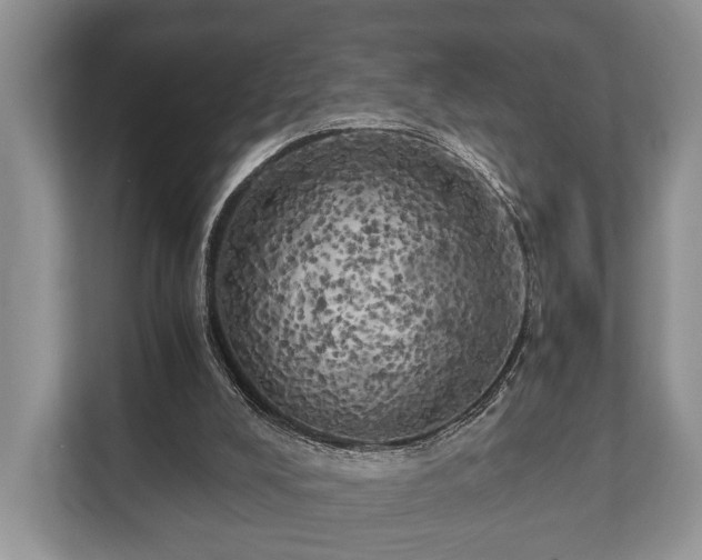 X0000110320008200905281642