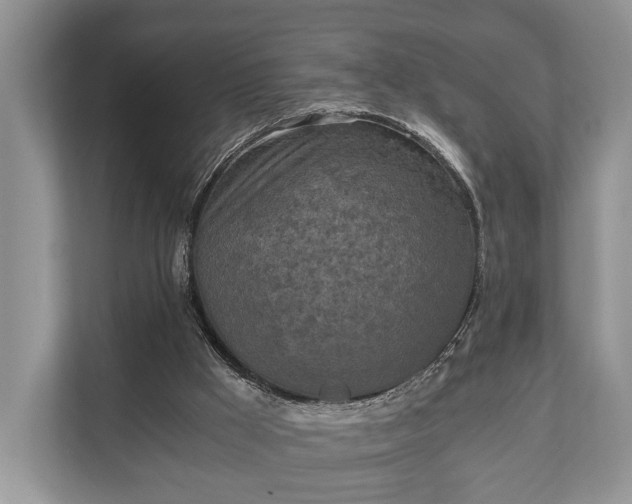 X0000110320009200905281642