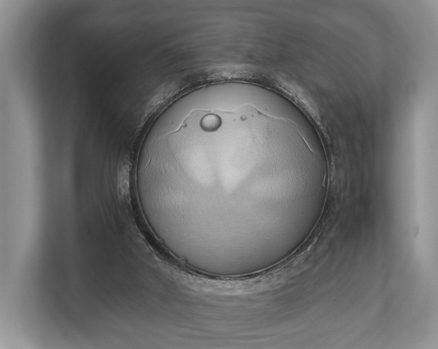 X0000110320010200905281642