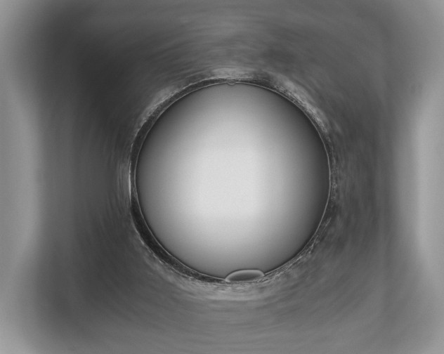 X0000110320011200905281642