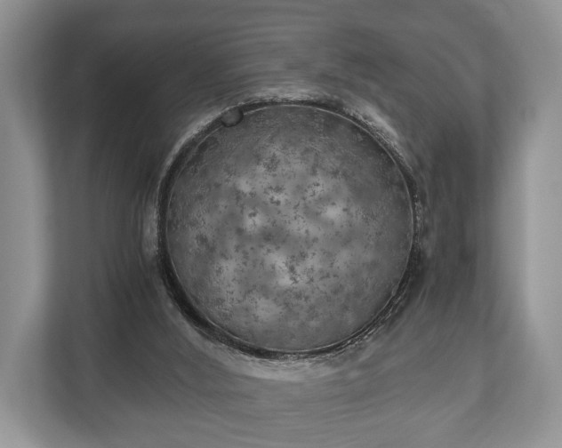 X0000110320012200905281642