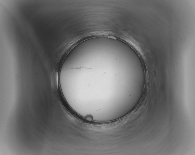 X0000110320013200905281642